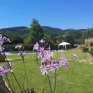Alba Morus Bed E Breakfast Sentiti A Casa Nel Cuore Della Toscana Couette-café